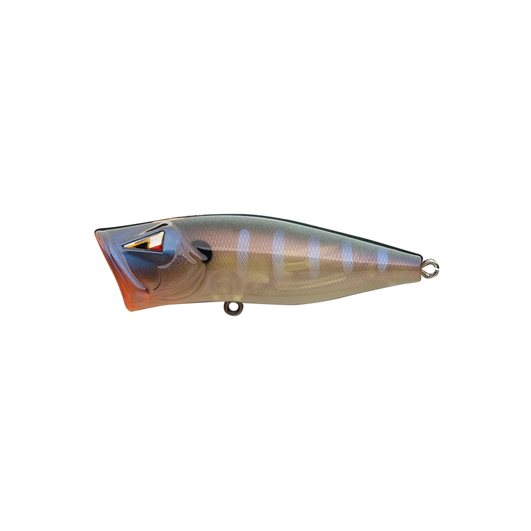 ark fishing lure Outlaw Bone Pop 70 Topwater Popper features a uniquely designed chamber that houses three stainless steel beads Team Ark Topwater Popper TP70