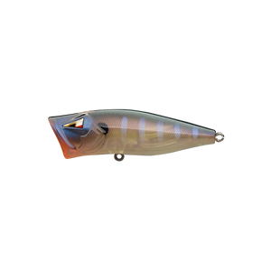 ARK Elite Z-Pop Topwater Popper