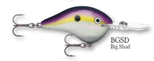 Load image into Gallery viewer, Rapala DT-8 Crankbait
