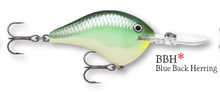 Load image into Gallery viewer, Rapala DT-8 Crankbait
