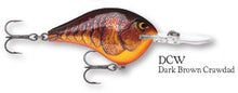 Load image into Gallery viewer, Rapala DT-8 Crankbait
