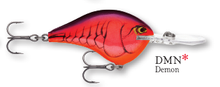 Load image into Gallery viewer, Rapala DT-6 Crankbait
