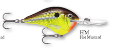 Load image into Gallery viewer, Rapala DT-8 Crankbait
