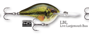 Rapala DT (Dives-To) Series Blue Shad