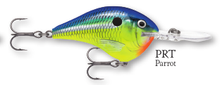 Load image into Gallery viewer, Rapala DT-6 Crankbait
