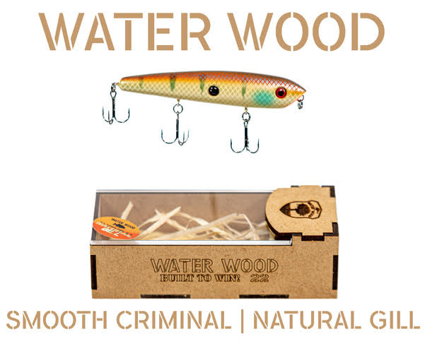 americana wood fishing lures Making Wooden : Carving and Painting Techniques That Really Catch Fish! winning carver and fishing enthusiast Rich Rousseau shares his fish americana wood fishing lures 24-7